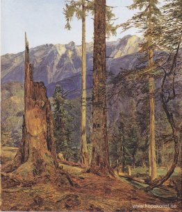Höllengebirge vid Ischl Höllengebirge vid Ischl