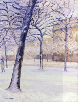 Parkera i snön Parkera i snön