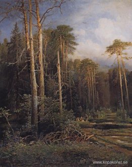 Vägen i skogen Vägen i skogen
