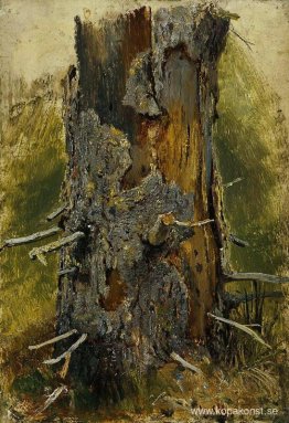 Barken på den torra stammen Barken på den torra stammen