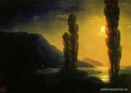 Månbelyst natt nära Jalta Månbelyst natt nära Jalta