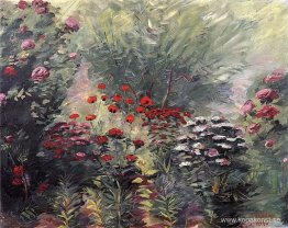 Blommor. En avkrok av trädgården. Blommor. En avkrok av trädgården.