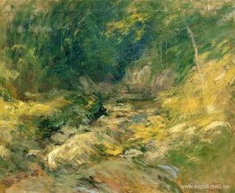 Den gömda poolen Den gömda poolen