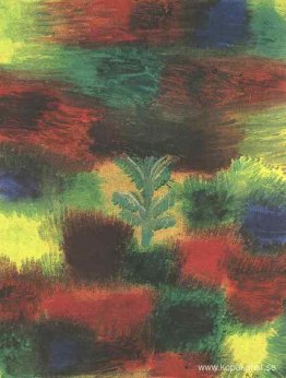 Litet träd mitt i buskage Litet träd mitt i buskage