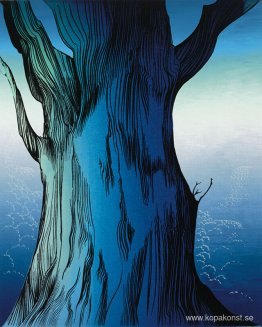 Eukalyptus Eukalyptus