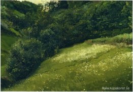 Fält i Asturien Fält i Asturien