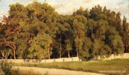 Skogen bakom staketet Skogen bakom staketet