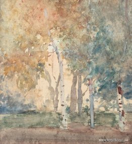 Björkskog Björkskog