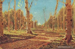 En Björklund En Björklund