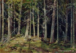 Skog. Högar Skog. Högar