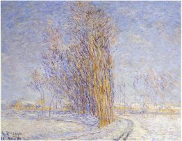 Landskap i snö Landskap i snö