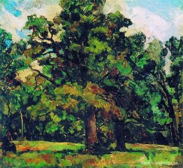 Abramtsevo. Oak Grove. Abramtsevo. Oak Grove.