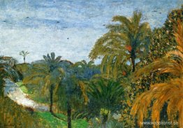 Trädgård i Cannes Trädgård i Cannes