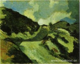 Dune landskap Dune landskap