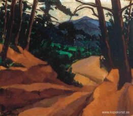 Skogslandskap Skogslandskap