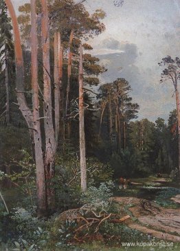 Skogsväg i Sokolniki Skogsväg i Sokolniki