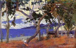 Kustlandskap från Martinique Kustlandskap från Martinique