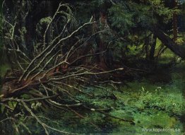 I granskogen I granskogen