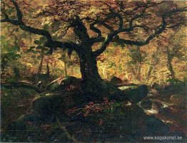 Träd i Catskills Träd i Catskills