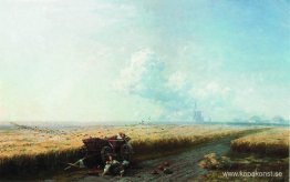 Under skörden i Ukraina Under skörden i Ukraina