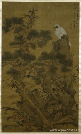 Pine Tree, White Hawk och Rock Pine Tree, White Hawk och Rock