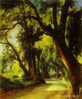 En gränd i Albano En gränd i Albano