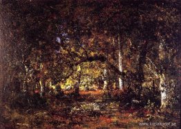 Inne i skogen Inne i skogen