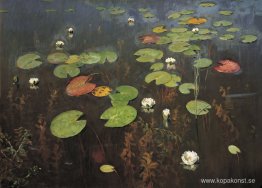 Näckrosor. Nenuphar. Näckrosor. Nenuphar.