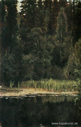 Damm i Akhtyrka Damm i Akhtyrka