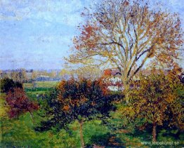 Höstmorgon på Eragny Höstmorgon på Eragny