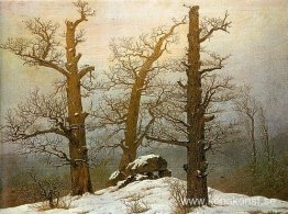 Vinterljus Vinterljus