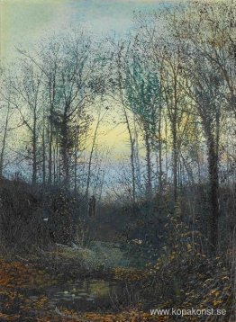 Skogbevuxen dal, förmodligen Bolton Woods Lovers i en skog som r Skogbevuxen dal, förmodligen Bolton Woods Lovers i en skog som r