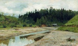 Flod i skogen Flod i skogen