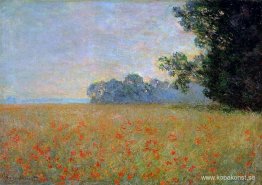 Havre och vallmofält Havre och vallmofält