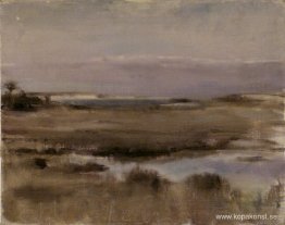 Utsikt över Great Island Utsikt över Great Island