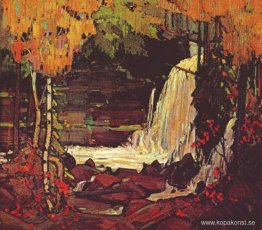 Woodland vattenfall Woodland vattenfall