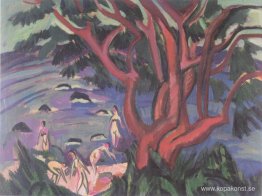 Rött träd på stranden Rött träd på stranden