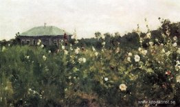 Stokrosor i Saratov-regionen Stokrosor i Saratov-regionen