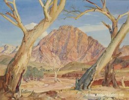 Väktare av Brachina Gorge Väktare av Brachina Gorge