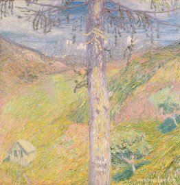 Lärkträd Lärkträd