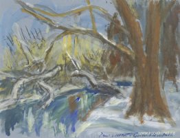 Flevo-park på vintern, Amsterdam Flevo-park på vintern, Amsterdam