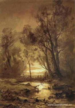 Bäck i en skog Bäck i en skog