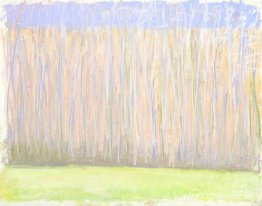 Blek trädrad Blek trädrad