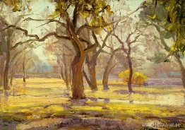 Solljus efter regn Solljus efter regn