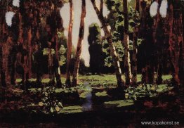 En Björklund En Björklund