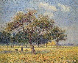 Äppelträd i oktober Äppelträd i oktober