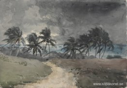 Storm, Bahamas Storm, Bahamas