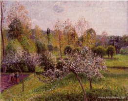 Blommande äppelträd, Eragny Blommande äppelträd, Eragny