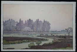 Morinji på våren Morinji på våren