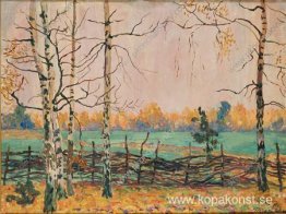 Björkar vid staketet Björkar vid staketet